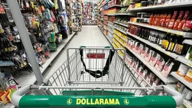 Dollarama sales spike 22% as many seek lower-cost ‘consumables’ - National