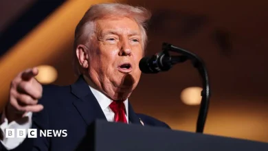 Don't let Donald Trump interfere with UK democracy, Ed Davey tells Starmer