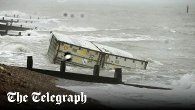 Don’t take washed up bananas, public warned