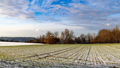 ESB Networks Winter Safety Series 2025: 10 tips for safer farming