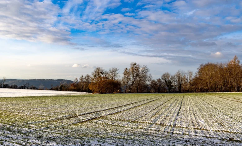 ESB Networks Winter Safety Series 2025: 10 tips for safer farming