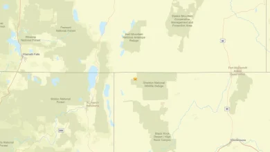 Earthquake shakes area close to Fort Bidwell, CA: 2.8 magnitude detected on Nov. 29