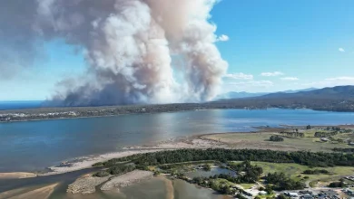 East Coast bushfires: TFS urges people to leave area, structures destroyed