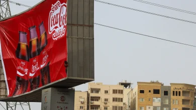 Egypt’s economy stabilises, but poverty challenges persist