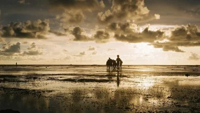 El fenómeno de enfriamiento de La Niña será débil y breve