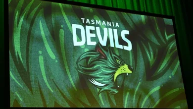 Emotions high as divisive Tasmania AFL stadium gets green light