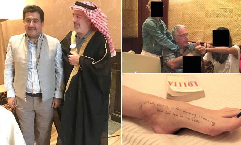 Epstein latest: New pictures released by Democrats