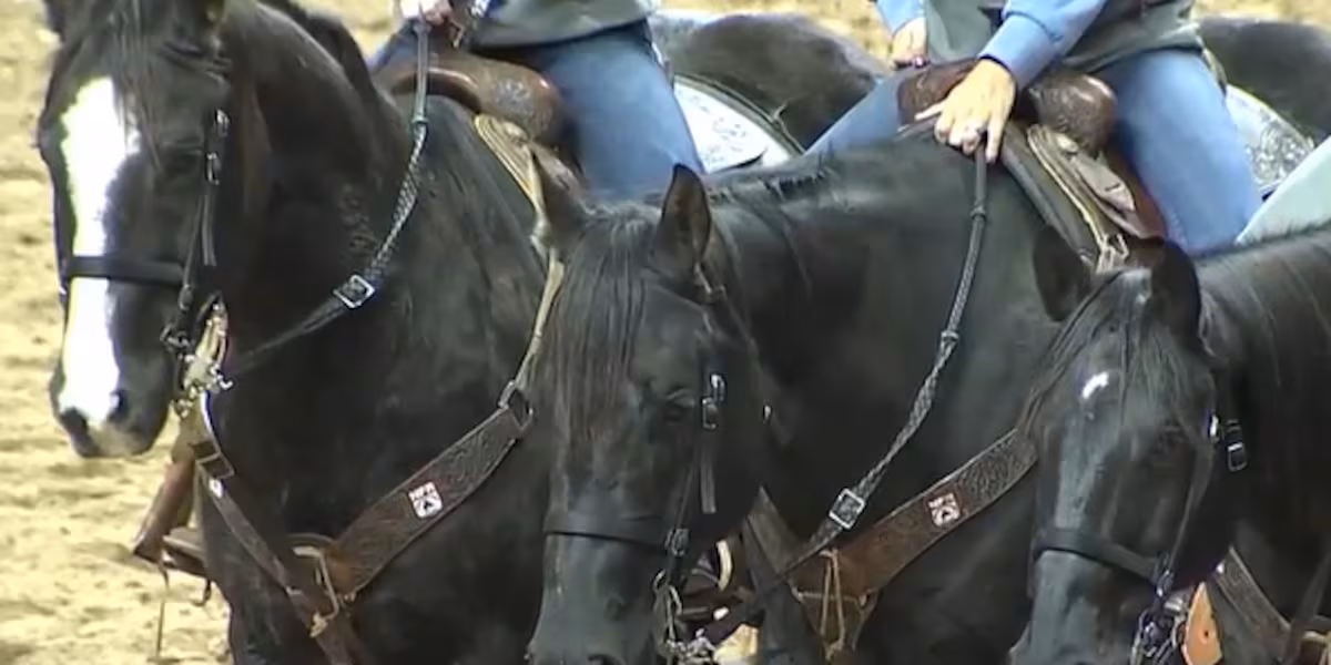 Equine herpes outbreak forces changes at National Finals Rodeo