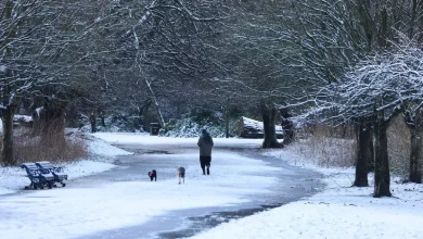 Exact date snow set to hit Liverpool