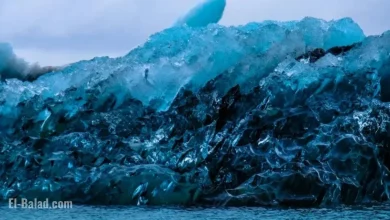 Experts Alert: Southern Ocean Nearing Significant Thermal Surge in Antarctica