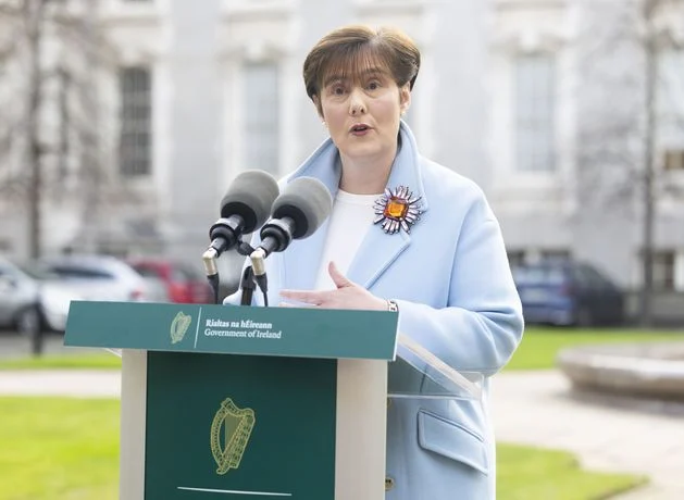 Explainer: What do Assessments of Need process reforms mean for children in Ireland?