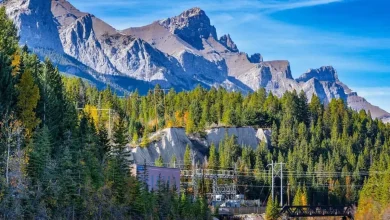 Express Entry invitations issued to PNP candidates in second consecutive week of draws