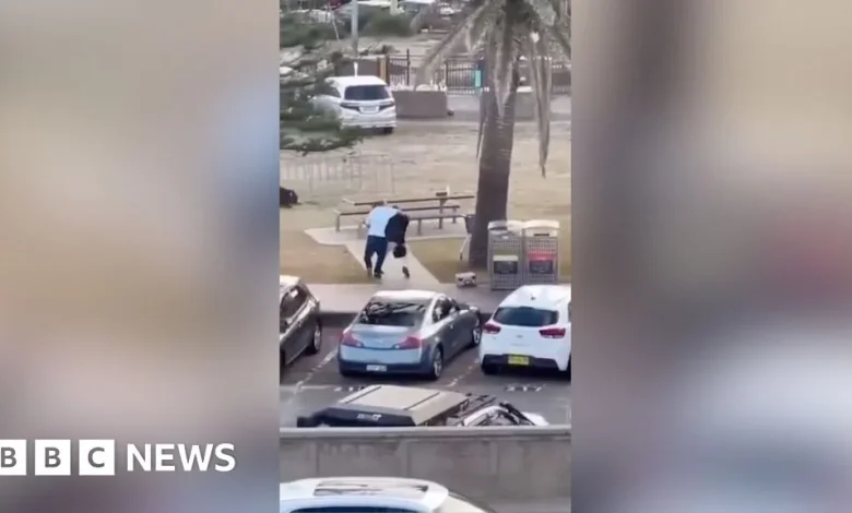 Eyewitness captures moment man tackles and disarms Bondi shooter