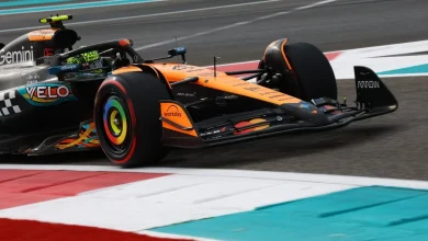 F1 Abu Dhabi GP: Lando Norris pips Max Verstappen to go quickest in FP1