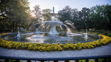 FBI, ATF aid Savannah police in chemical assault investigation