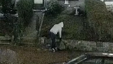 FBI makes arrest in DC pipe bomber investigation, sources say