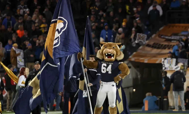 FCS Playoffs Quarterfinals Game of the Week - Stephen F. Austin Lumberjacks @ Montana State Bobcats: How to Watch, Preview, Predictions