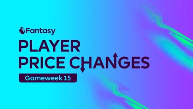 FPL player price changes - rises, falls and top transfers in Gameweek 14