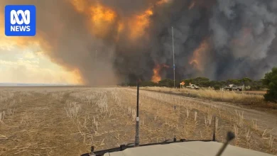 Fallen tree kills farmer tackling blaze in WA's south