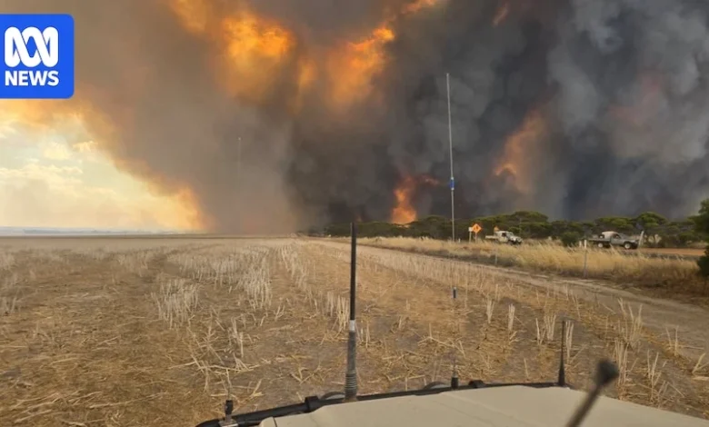 Fallen tree kills farmer tackling blaze in WA's south