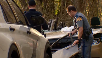 Falling tree on Carnation Duvall road kills woman, leaves driver in critical condition