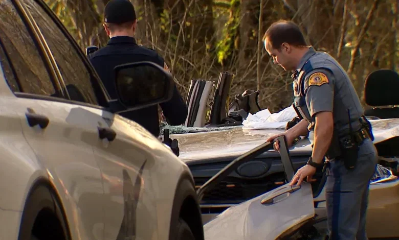 Falling tree on Carnation Duvall road kills woman, leaves driver in critical condition