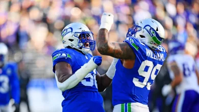 Fantasy Football Defense (DST) Week 15 Rankings and Streamers