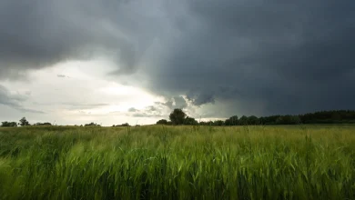 Farmers advised that rainwill will be 'above average' in coming days - Met Éireann
