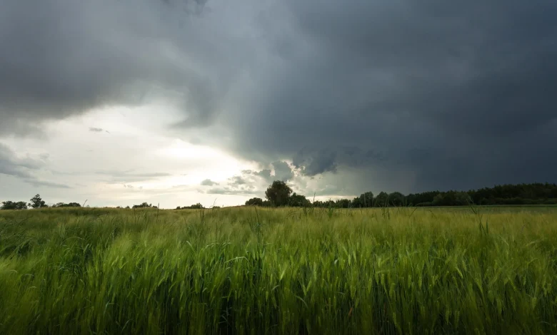 Farmers advised that rainwill will be 'above average' in coming days - Met Éireann