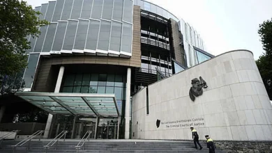 Father who stabbed man to death took law into his own hands, lawyer says