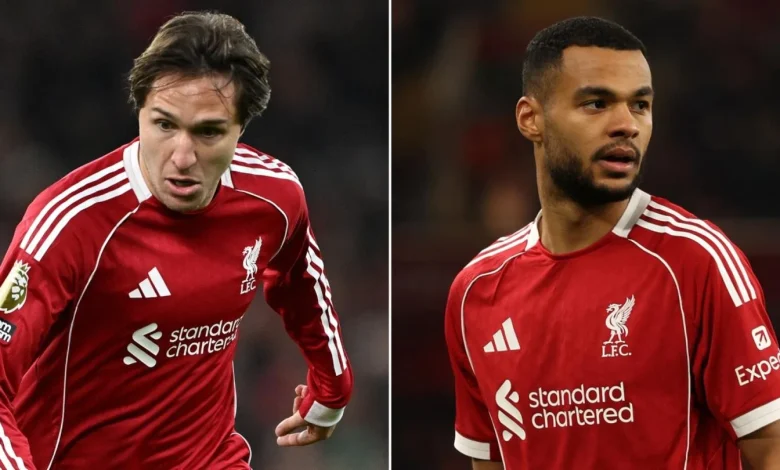 Federico Chiesa and Cody Gakpo fitness update