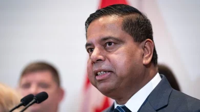 Feds to proceed with promised review of firearms classification regime, minister says