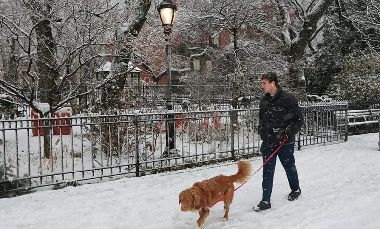 First Measurable Snow Lands In NYC