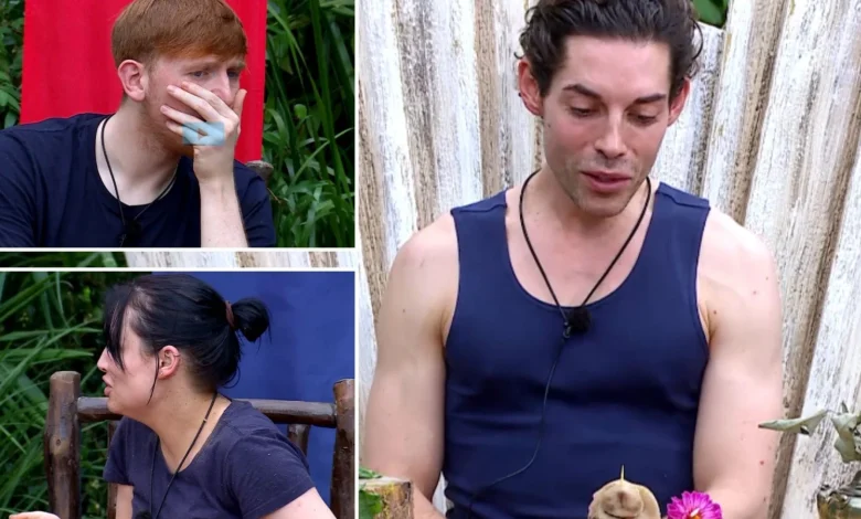 First-look at last Bushtucker Trials as Tom Read Wilson eats pig’s vagina ahead of I’m a Celebrity final