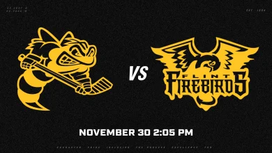 Flint at Sarnia Game Preview – November 30