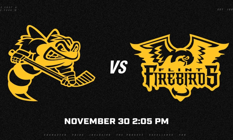 Flint at Sarnia Game Preview – November 30