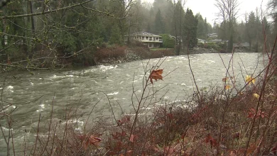 Flood watch ends in North Shore; Chilliwack River remains high concern