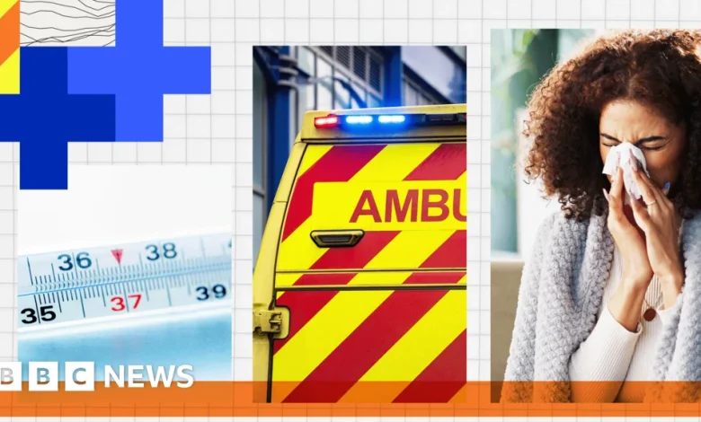 Flu in five charts - how this year's winter outbreak is different