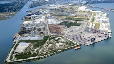 Fog closes Tampa Bay, delays arrival of 3 Royal Caribbean ships