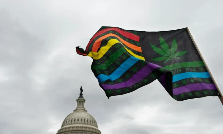 Forbes Daily: Major Marijuana Reform Could Be Imminent