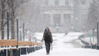 Forecast for Windsor-Essex for Saturday, November 29, 2025