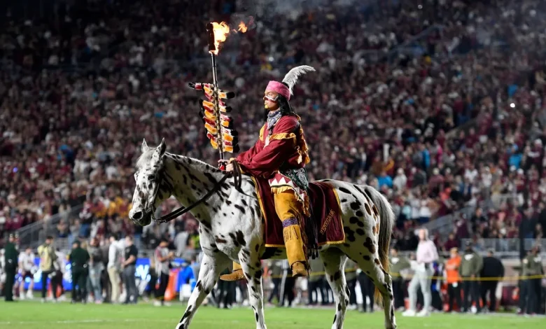 Former FSU LB target to enter transfer portal