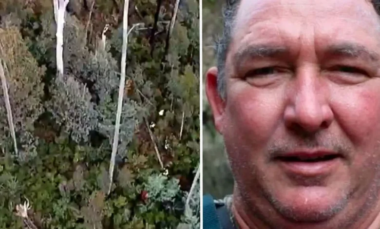 Former pilot Greg Lynn has conviction set aside, retrial ordered over deaths of Carol Clay and Russell Hill