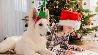 Free Royal Mail Letter from Santa: All you need to know before deadline tomorrow