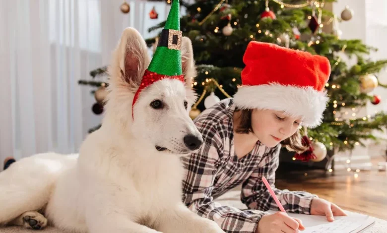 Free Royal Mail Letter from Santa: All you need to know before deadline tomorrow