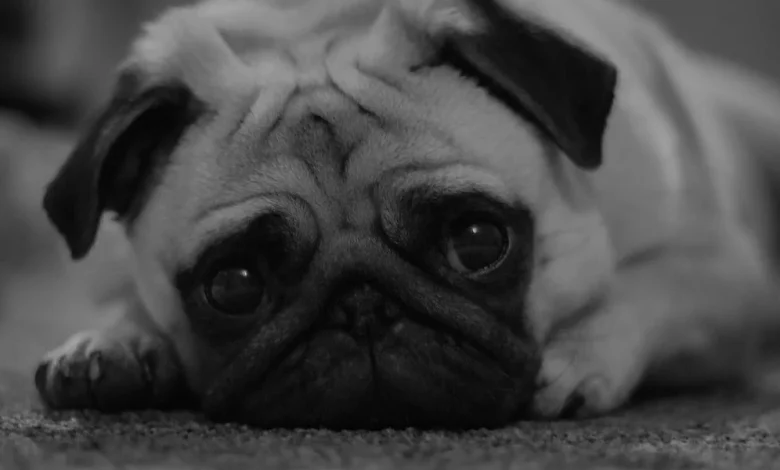 Game 25 wrap: (no spoiler title)