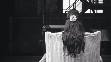 Game 28 Preview and Open Thread: Ottawa Senators versus St. Louis Blues