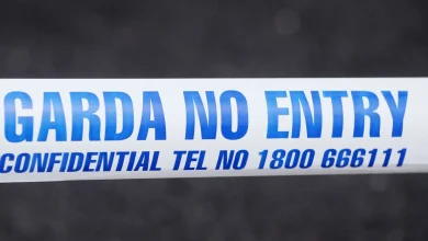 Gardai appeal for information after Dublin shooting