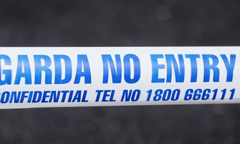 Gardai appeal for information after Dublin shooting