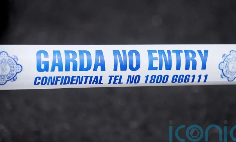 Gardai appeal for information after Dublin shooting
